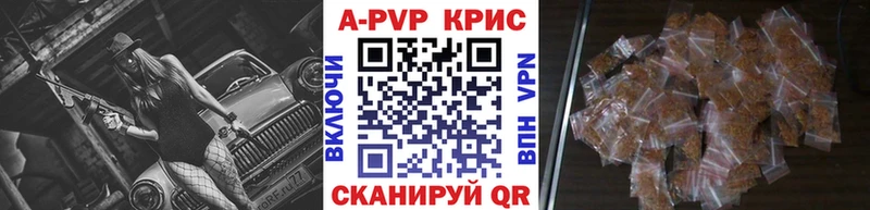 как найти закладки  Кировск  Alpha PVP СК КРИС 