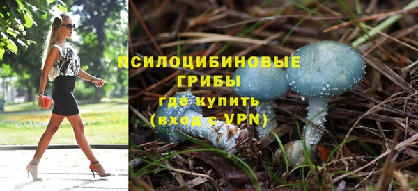 эйфоретик Киреевск