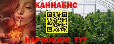 амф Кингисепп