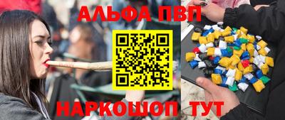 амф Кингисепп