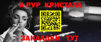 амф Кингисепп