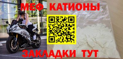 амф Кингисепп