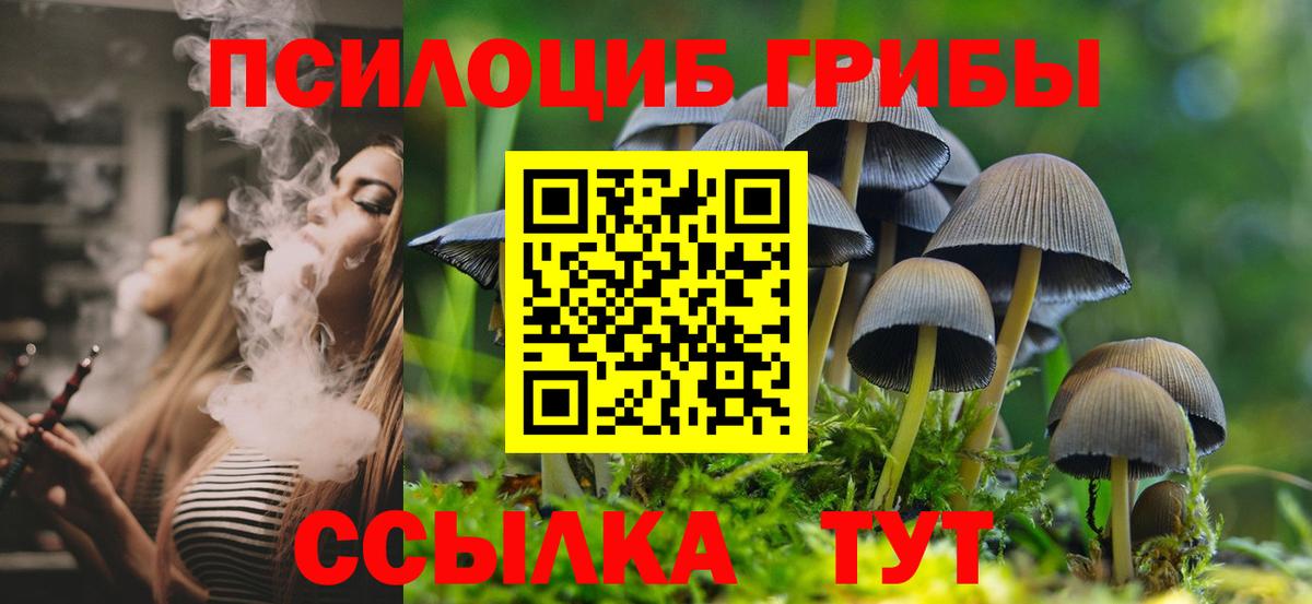 Галлюциногенные грибы MAGIC MUSHROOMS  Псилоцибиновые грибы MAGIC MUSHROOMS  Кировск  Вход с VPN 