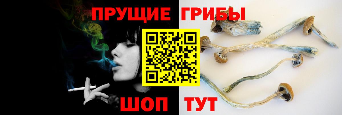 Псилоцибиновые грибы Magic Shrooms Кировск